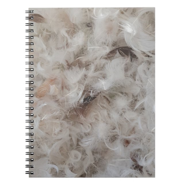 Down Comforter Feathers Photography Funny Notebook (Front)