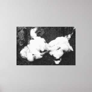 down fluffy canvas print