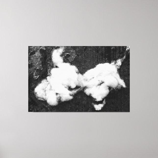 down fluffy canvas print (Front)