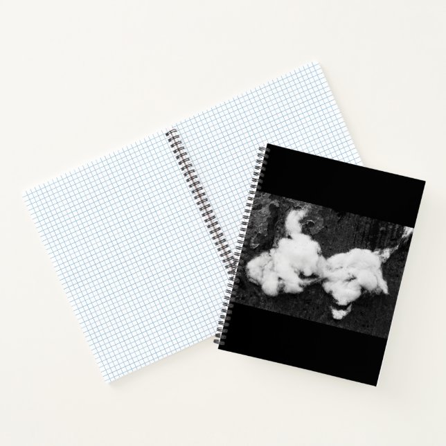 down fluffy notebook (Inside)