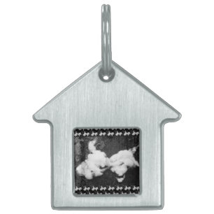 down fluffy pet ID tag