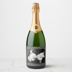 down fluffy sparkling wine label