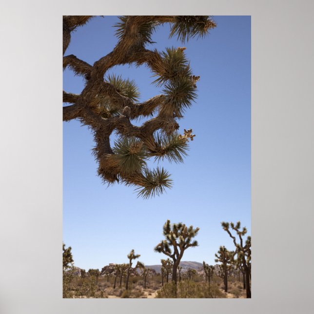 Down in Front Poster (Front)