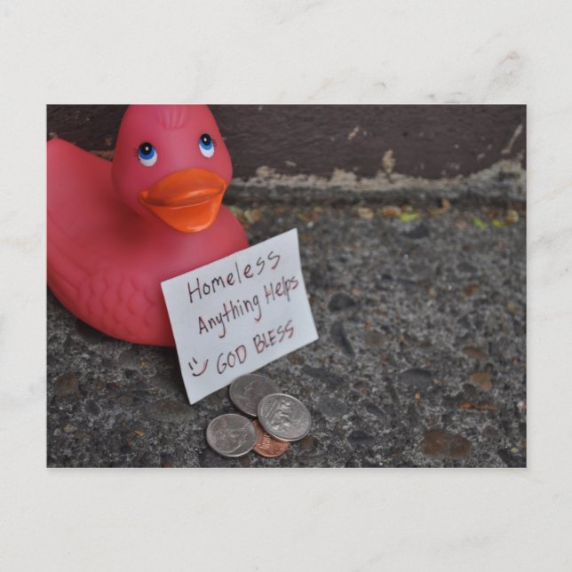 Down in the Ducks Postcard (Front)