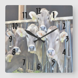 Down On The Farm Cows Square Wall Clock