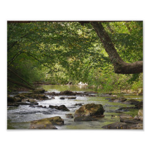 Down Stream Photo Print
