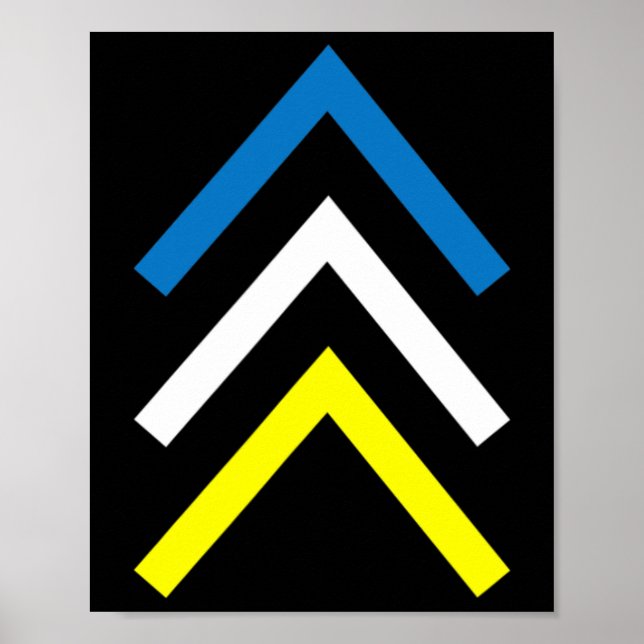 Down Syndrome Three Chromosome Arrows Awareness Mo Poster (Front)