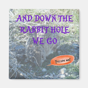 "Down the Rabbit Hole" Magnet