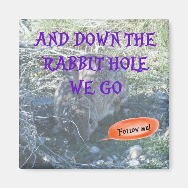 "Down the Rabbit Hole" Magnet (Front)