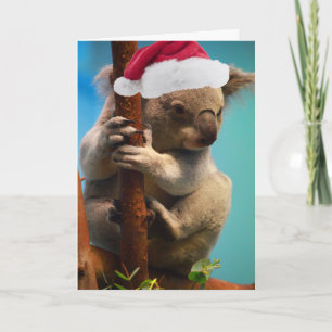Down Under Christmas Koala Holiday Card