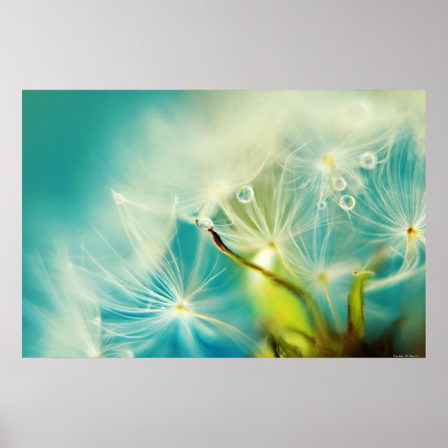 Down Waters Poster (Front)