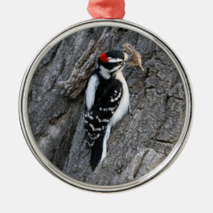 Downey Woodpecker Metal Tree Decoration
