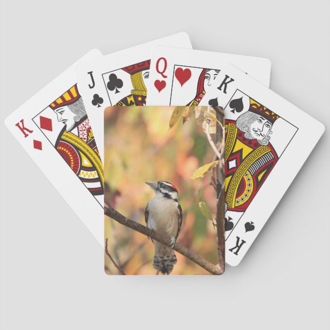 Downey woodpecker playing cards (Back)