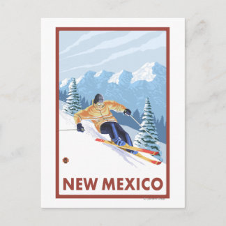 Downhill Snow SkierNew Mexico Postcard