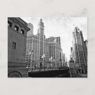 Downtown Chicago Postcard