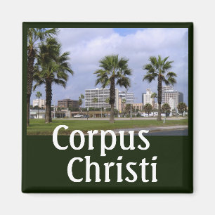 Downtown Corpus Christi Texas Souvenir Magnet