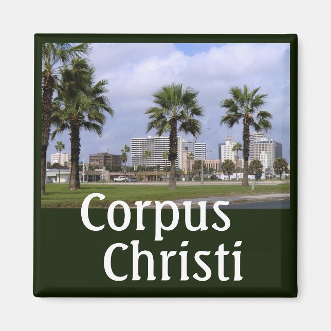 Downtown Corpus Christi Texas Souvenir Magnet (Front)