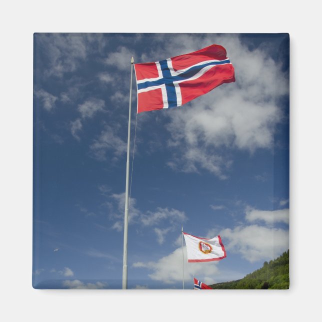 Downtown historic port area of Bergen wth flags Magnet (Front)