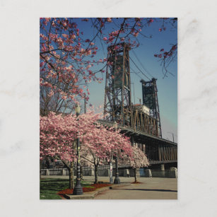 Downtown Portland Bridge   Cherry Blossom Postcard