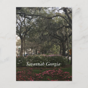 Downtown Savannah Georgia Postcard