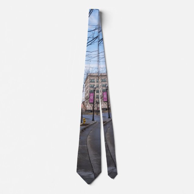 Downtown Springfield Neck Tie (Front)