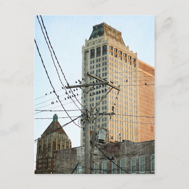 Downtown Tulsa with Birds Postcard (Front)