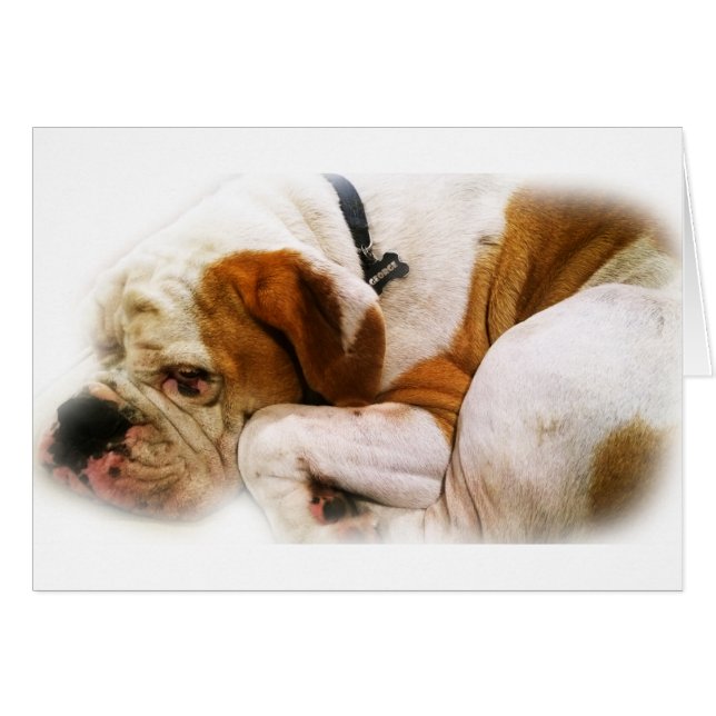 Downward Dog (Front Horizontal)