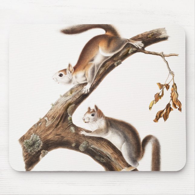 Downy Brown Squirrel House Mouse Mat (Front)