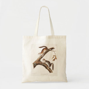 Downy Brown Squirrel House Tote Bag