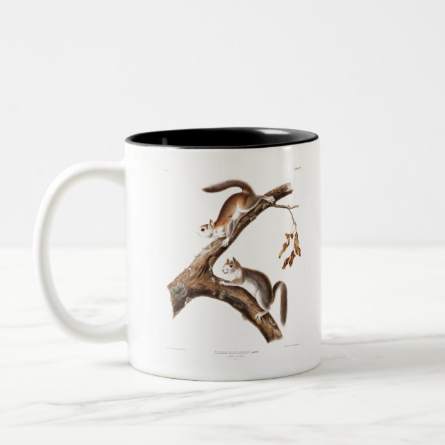 Downy Brown Squirrel House Two-Tone Coffee Mug (Left)