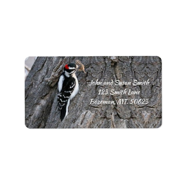 Downy Woodpecker Address Label (Front)