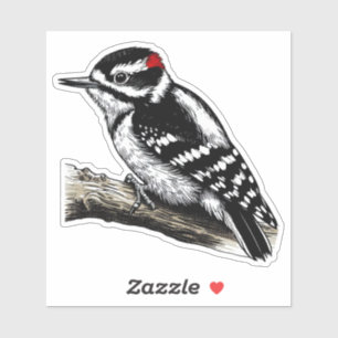 Downy Woodpecker bird Custom-Cut Vinyl Sticker