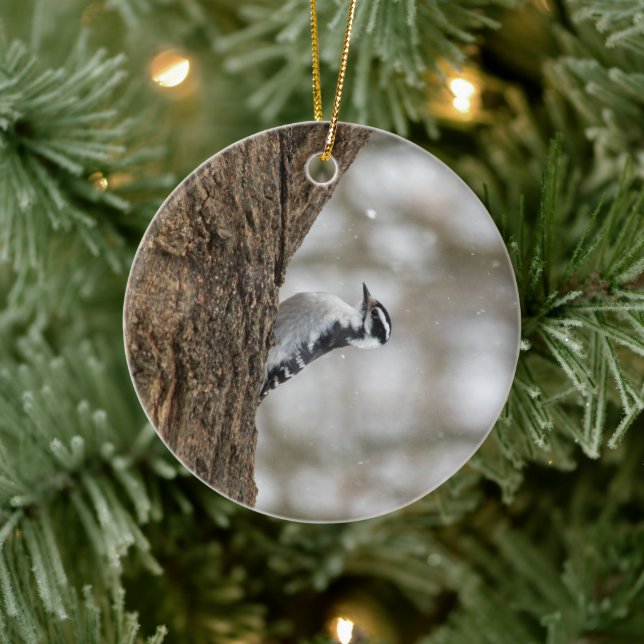 Downy Woodpecker | Ceramic Ornament (Tree)