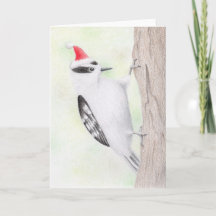 Downy Woodpecker Christmas Card