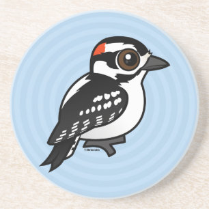 Downy Woodpecker Coaster