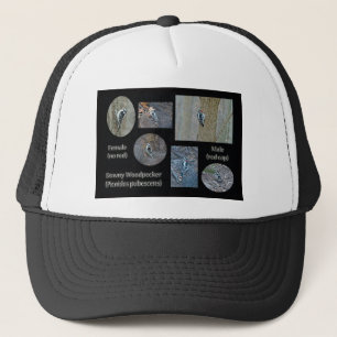 Downy Woodpecker Composite Pictures Items Trucker Hat