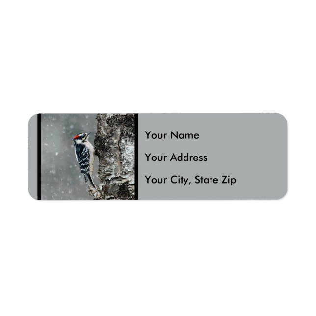 Downy Woodpecker in Snow - Original Photograph (Front)