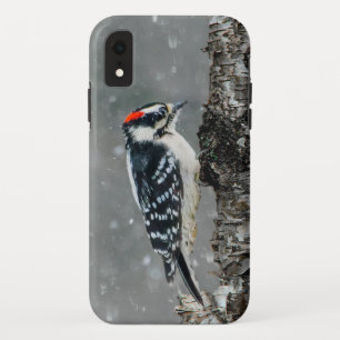 Downy Woodpecker in Snow - Original Photograph iPhone XR Case
