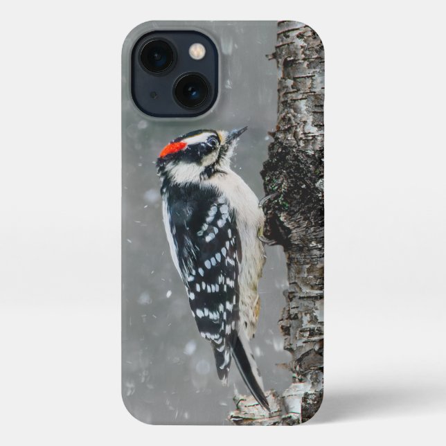 Downy Woodpecker in Snow - Original Photograph iPhone Case (Back)