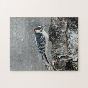 Downy Woodpecker in Snow - Original Photograph Jigsaw Puzzle