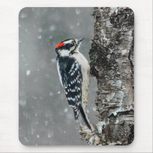 Downy Woodpecker in Snow - Original Photograph Mouse Mat
