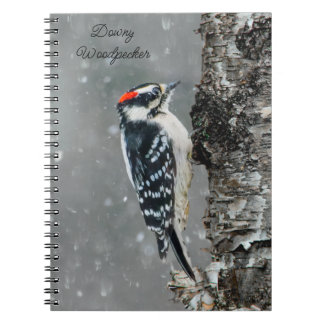 Downy Woodpecker in Snow - Original Photograph Notebook