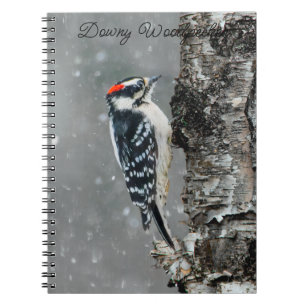 Downy Woodpecker in Snow - Original Photograph Notebook