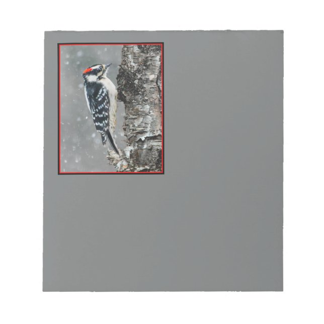 Downy Woodpecker in Snow - Original Photograph Notepad (Front)
