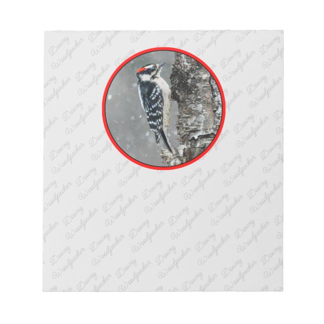 Downy Woodpecker in Snow - Original Photograph Notepad (Front)
