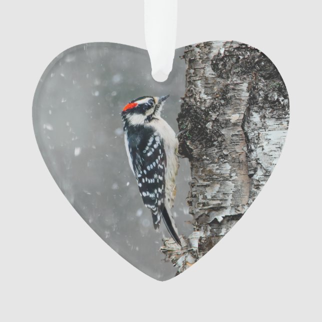 Downy Woodpecker in Snow - Original Photograph Ornament (Front)