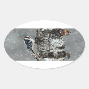 Downy Woodpecker in Snow - Original Photograph Oval Sticker