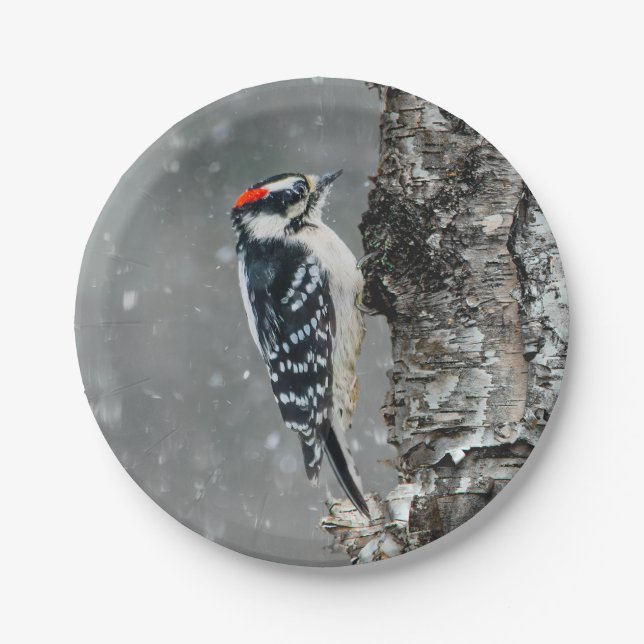Downy Woodpecker in Snow - Original Photograph Paper Plate (Front)