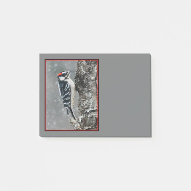 Downy Woodpecker in Snow - Original Photograph Post-it Notes (Front)