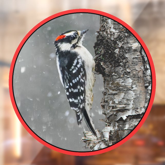Downy Woodpecker in Snow - Original Photograph Window Cling (Sheet 2)